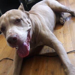 Meet your Posher, Meiling